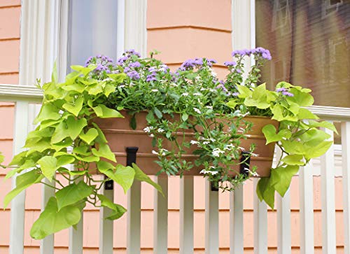 Achla Designs Medium Copper Flower Box with Wall Brackets