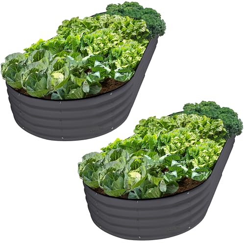 Plant & Plot Galvanized Raised Garden Beds Outdoor // 8×4×1 ft (2-Pack) Planter Raised Beds for Gardening, Vegetables, Flowers // Large Metal Garden Box // Patented Tool-Free Design (Gray) - color: Gray, size: 8×4×1 Ft (2-pack)