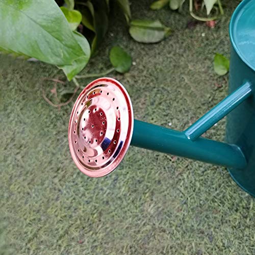 Metal Watering Can 1 Gallon for Outdoor Garden Plants, Green - color: Green With Copper Accents