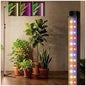 36W Standing Grow Light for Indoor Plants, 65'' Adjustable Tall Grow Light with Stand, 3 Light Modes & 10 Dimmable Levels, Floor Grow Light with Timer for Large Indoor Plants, Herbs, Corners