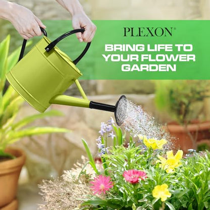 Plexon Metal Watering Can Outdoor 1 Gallon, Flower Plant Gardening Garden Large Green Watering Can Pot, Galvanized Steel Handles - Removable Spray Spout, Green - color: Green