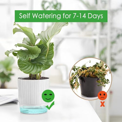 4 Pack Self Watering Pots, 4/5.5 Inch Self Watering Pots for Indoor Plants - color: 4+5.5inch, 4pcs Black Stripes