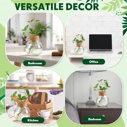 12 Pack Glass Plant Propagation Stations, Spherical - style: Spherical