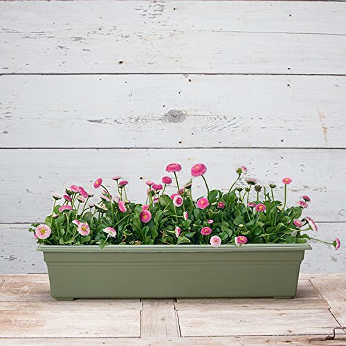 Novelty 16300 30" Flowerbox Sage, Inch - color: Sage, size: 30-Inch