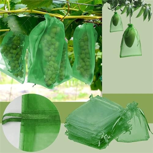 10Pcs/Set Fruit Protection Bags, Green Netting Cover Bags Drawstring Mesh Fruit Protectors Pest Barrier for Grapes Trees Veggies (Large, 20x30cm) - color: Medium
