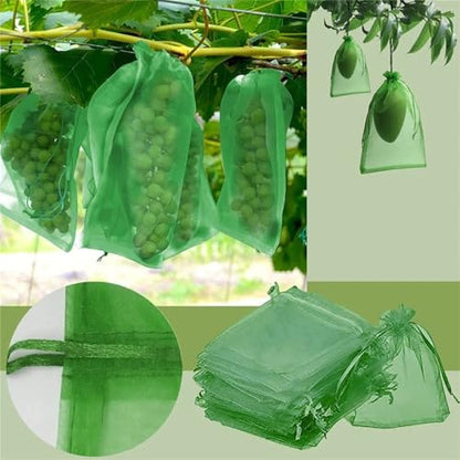 10Pcs/Set Fruit Protection Bags, Green Netting Cover Bags Drawstring Mesh Fruit Protectors Pest Barrier for Grapes Trees Veggies (Large, 20x30cm) - color: Medium