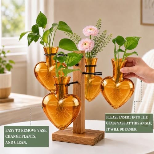 Plant Terrarium Propagation Station with Wooden Stand, 4 Glass Vases - color: Amber