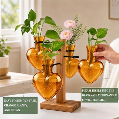 Plant Terrarium Propagation Station with Wooden Stand, 4 Glass Vases - color: Amber