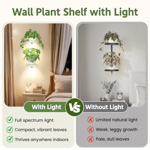 LASZOLA Plant Hanger Holder Shelf Wall Indoor with Lights, 2 Pcs White - color: Pure White, size: 2