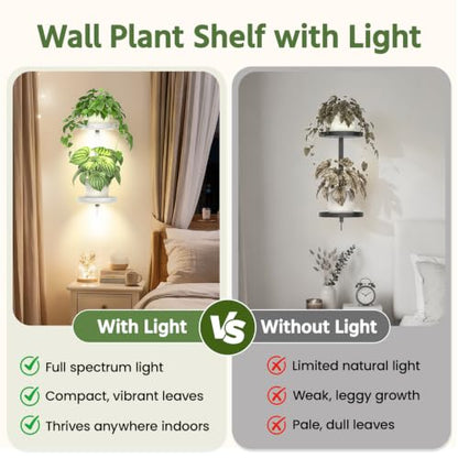LASZOLA Plant Hanger Holder Shelf Wall Indoor with Lights, 2 Pcs White - color: Pure White, size: 2