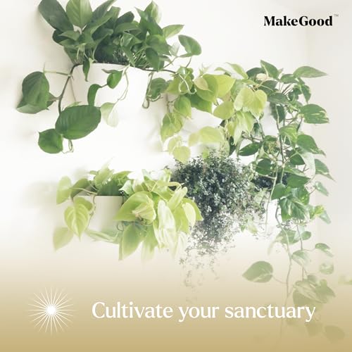 Make Good Virgo Wall Planters (Wide, Set of 6) - Easy to Water and Install - Lightweight - Design Your Own Vertical Garden - Melamine Plastic