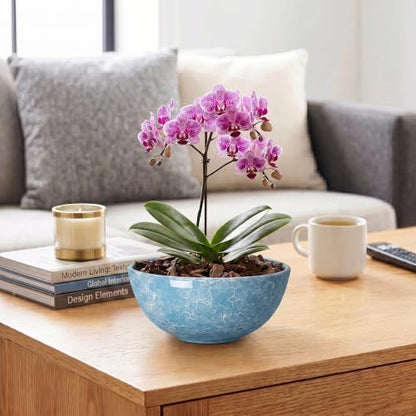 Succulent Pots Ceramic, 8 Inch Bonsai Tree Pots, Droplet Blue - color: Droplet Blue-1, size: 8 Inch