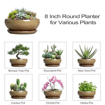 SQOWL Succulent Pots, 8 Inch Ceramic Bonsai Pots with Drainage Tray, Brown - color: Speckled-brown, size: 8 Inch