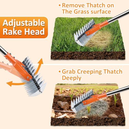 Thatch Rake -15 Inch Dethatcher Rake with Adjustable Handle, Efficient Steel Metal Rakes with Handle,Heavy Duty Thatching Rakes for Lawn,Garden, Yard