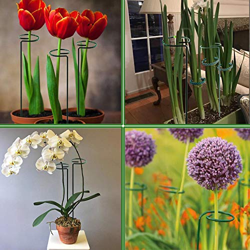 Plant Stake Support - 6 Pack, Garden Single Stem Support Stake 15.9 inch - size: 15.9inch