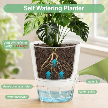Hayder 5/6/7 Inch Self Watering Pots for Indoor Outdoor Plants 6 Pack - color: White