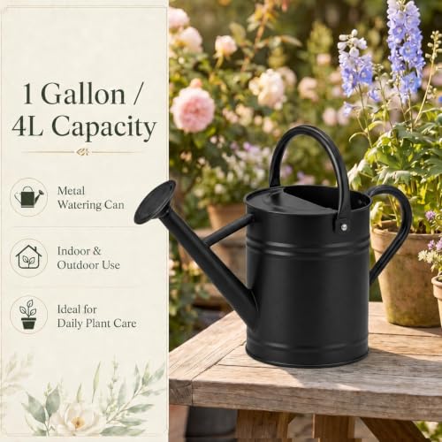 1 Gallon Metal Watering Can for Indoor Outdoor Plants, Classic Black