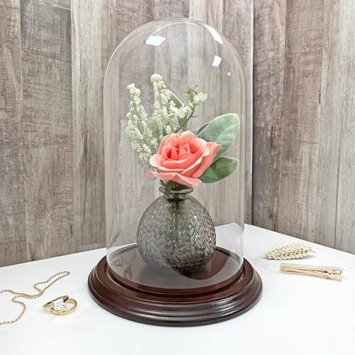 Plymor 5.5" x 10" Glass Display Dome Cloche (Dark Mahogany Veneer Base) - color: Dark Mahogany Veneer Base