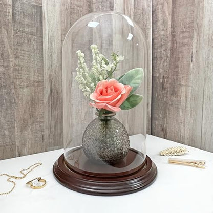 Plymor 5.5" x 10" Glass Display Dome Cloche (Dark Mahogany Veneer Base) - color: Dark Mahogany Veneer Base