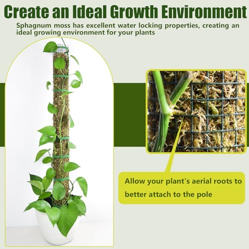 2 Pack Metal Moss Pole, 40" Moss Poles for Plants Monstera, Stackable Sphagnum Moss Pole for Climbing Plants Work with Sphagnum Moss(2 Pack 40") - color: 2 Pack 40"
