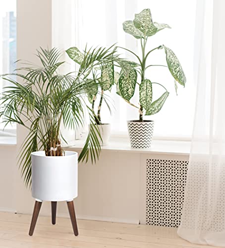 D'vine Dev 12 Inch Planter Pot with Wood Stand, White, 88-O-C-1 - color: Matte White, size: Large