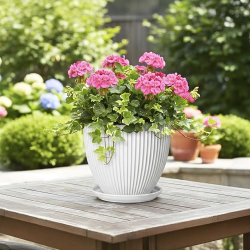 8 Inch Plant Pot, Ceramic Planters with Saucer, White - color: White, size: 8 Inch