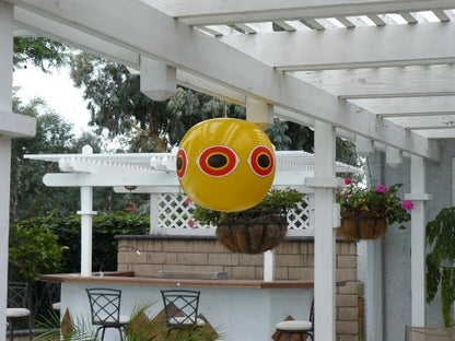 Bird B Gone Scare Eye Balloon Bird Deterrent, 1-Pack