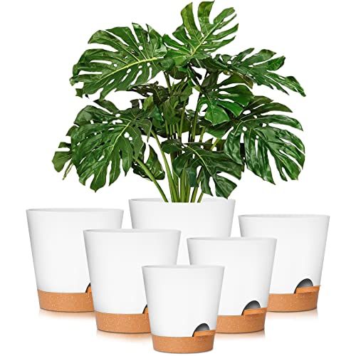 GARDIFE Plant Pots 8/7/6.5/6/5.5/5 Inch Self Watering Planters with Drainage Hole, Plastic Flower Pots, Nursery Planting Pot for All House Plants, African Violet, Flowers, and Cactus,White - color: 8-white, size: 8+7+6.5+6+5.5+5 inch