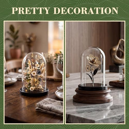 Suclain 4Pc Glass Dome Cloche with Wood Base, Black, 5.1" X 3.8" - color: Black, size: 5.1" X 3.8"