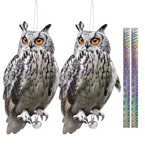 Flat Fake Owl to Keep Pigeon Away with Reflective Tape, 2Pcs Plastic Owls to Scare Pigeon Away from Porch Patio Balcony, Bird Pigeon Devices Garden Owl to Scare Woodpecker Squirrel for Outdoor - color: Gray 01, size: 2 Pcs