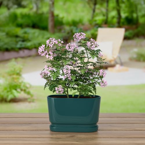 8.9" Rectangular Ceramic Planter with Drainage and Saucer, Green - color: Green, size: Medium