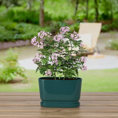 8.9" Rectangular Ceramic Planter with Drainage and Saucer, Green - color: Green, size: Medium