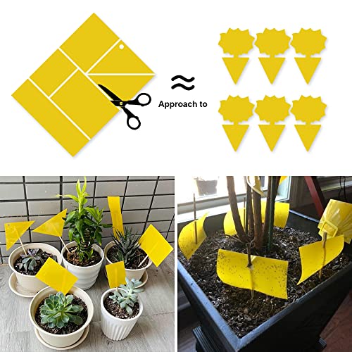 Kensizer 10-Pack Fruit Fly Trap, Yellow Sticky Gnat Trap, 6x8 in - size: 10-Pack