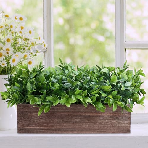 Winlyn 14" Artificial Boxwood Plants in Rectangular Wood Planter Farmhouse Greenery Arrangement Centerpiece Faux Potted Herb Plant for Wedding Dining Room Table Kitchen Windowsill Mantel Shelf Décor