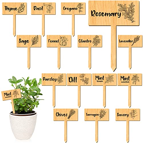 Bucherry 15 Pcs Garden Plant Label Signs, Wooden Herb Markers T Type with Printed Herb Name Waterproof Plant Marker Stakes for Indoor Outdoor Garden Seedlings Flowerpot Potted