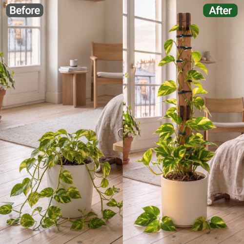 Wooden Extendable Plant Trellis for Potted Plants Indoor, 4 Sets - size: 4 Sets