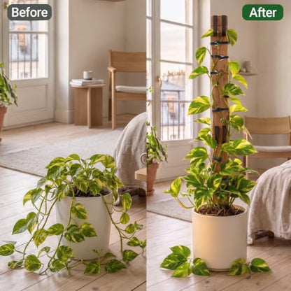 Wooden Extendable Plant Trellis for Potted Plants Indoor, 4 Sets - size: 4 Sets