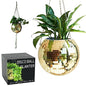 SCANDINORDICA Disco Ball Planter, Value Package, 10-inch Gold - size: 10" Gold