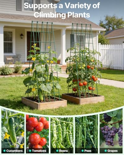 Suteck A-Frame Cucumber Trellis 59.4" 2 Pack, Foldable Metal - size: 59.4"