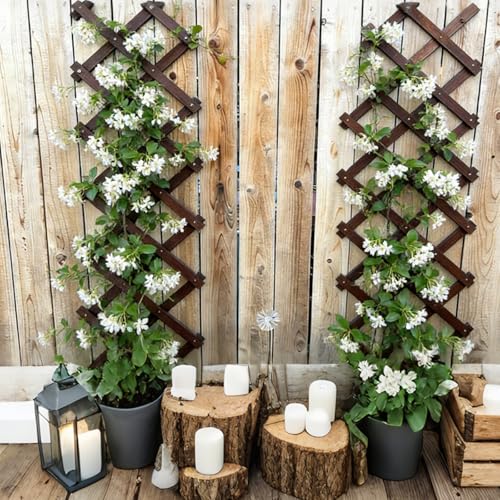 4Pcs Expandable Garden Trellis, 13"x68" Trellis for Climbing Plants Outdoor - size: 13" x 68" 4 Pack