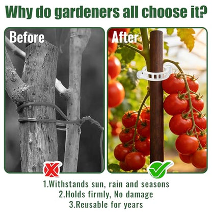 300Pcs Thickened Tomato Clips, Plant Support Clips Plastic Trellis Clips - color: White