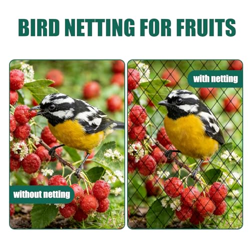 25x25ft Heavy Duty Bird Netting, 1'' Mesh for Garden Fruit Trees - size: 1‘’-25×25FT