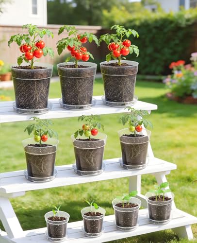 homenote 5 Inch Clear Nursery Pots 30 Pack with Drainage Holes and Saucers - size: 5 INCH