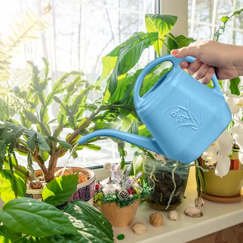 Watering Can - for Home Plant Garden - 1 Gallon Hand - Sky Blue - color: Sky Blue
