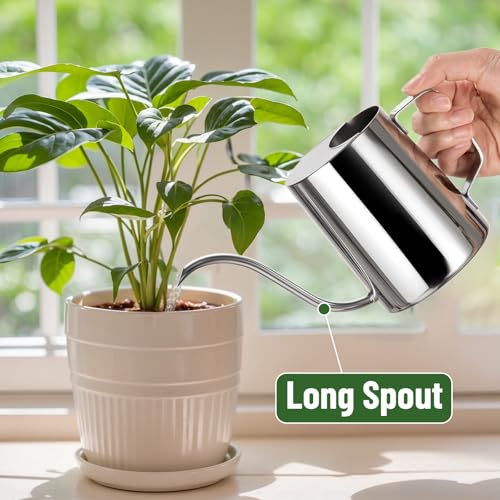 Doseno Indoor Watering Can, Long Spout Watering Can, Stainless Steel, 20 oz - size: 600ml/20oz-Stainless Steel