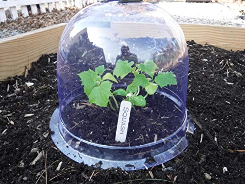 12-Pack! GrowAway™ Medium Reusable Plastic Mini Greenhouse, Garden Cloche Dome, Plant Covers Frost Guard Freeze Protection for Plants Outdoors, Garden Tools, Garden Accessories - 10.24"Diam. x 7.48"H