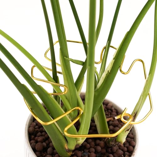 5 Pcs Plant Stem Support, Iron Monstera Plant Support, Durable Hook Stem Supports for Healthy Growth, Bamboo Clamp Set for Leaf Stabilization and Support, Ideal Present for Plant Lovers (6.25IN*7IN) - size: 6.25IN*7IN