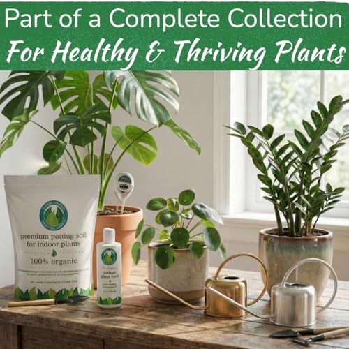 Stainless Steel Houseplant Watering Can, Brushed Silver, 1L Capacity - color: Silver