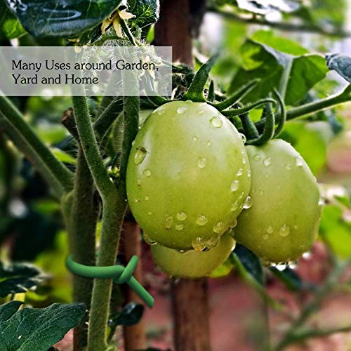 Shintop 3.5mm Plant Ties, 2PCS Reusable Garden Twist Tie for Gardening - color: Green, size: 3.5mm