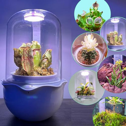 Smart Venus Fly Trap Terrarium Pot with Timer&Fan, Mini Plant Terrarium Kit